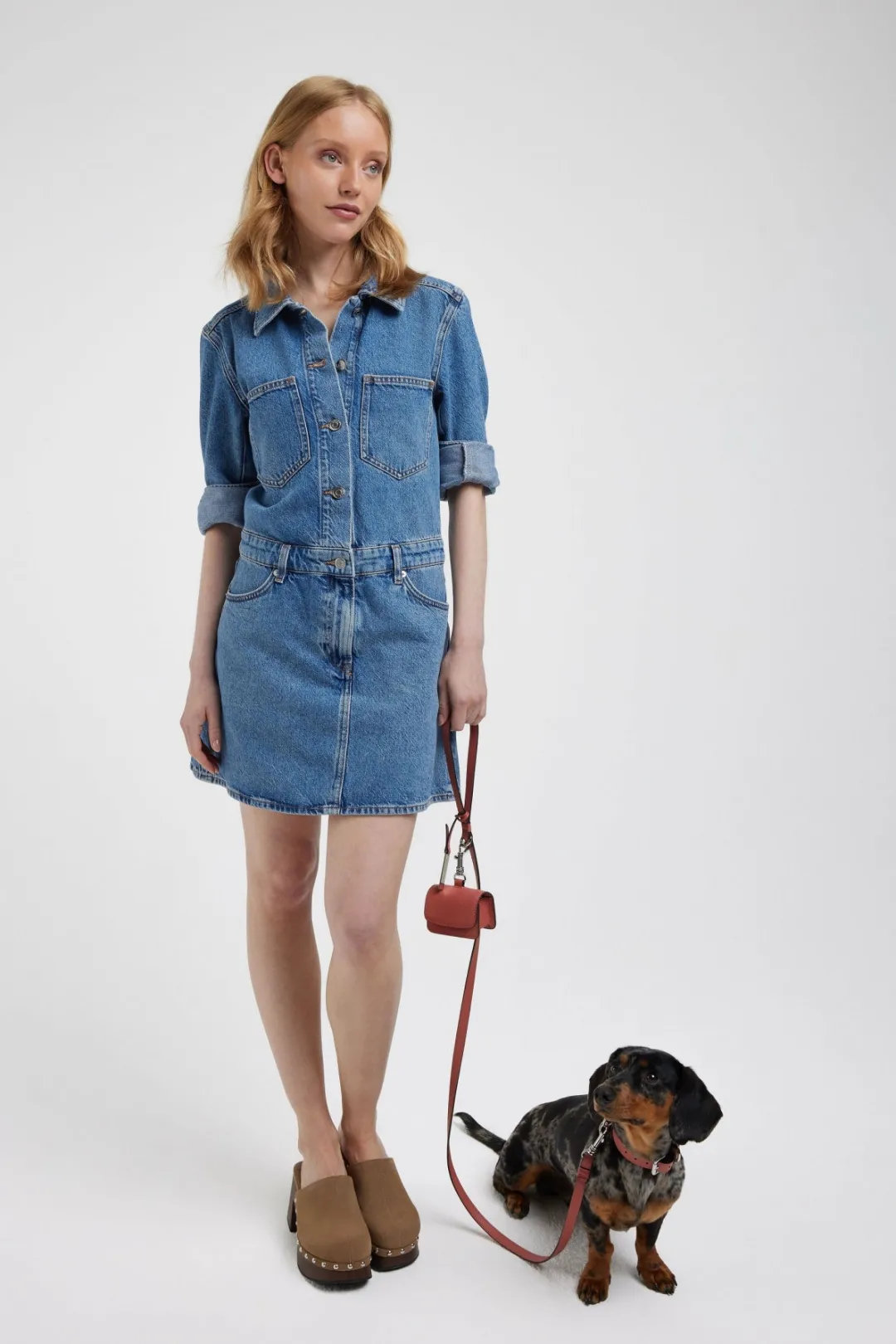 Smaak Amsterdam Halsbanden-COLLAR |